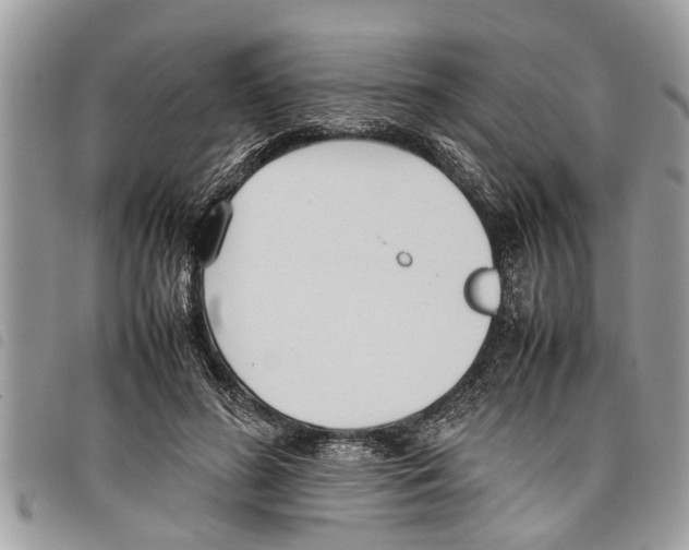 X0000097800596200804110926