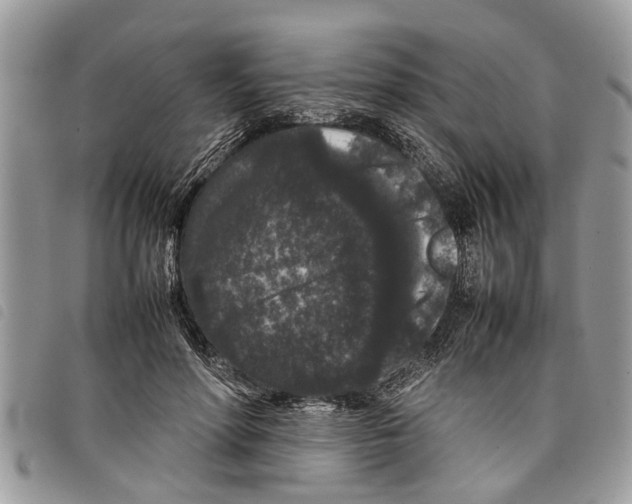 X0000097800598200804110926