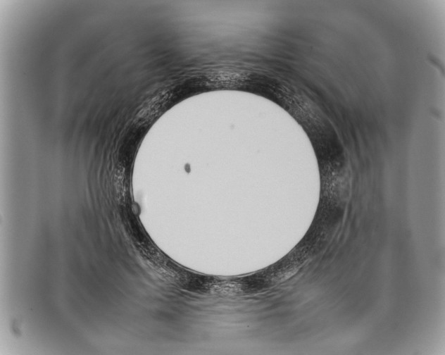 X0000097800599200804110926