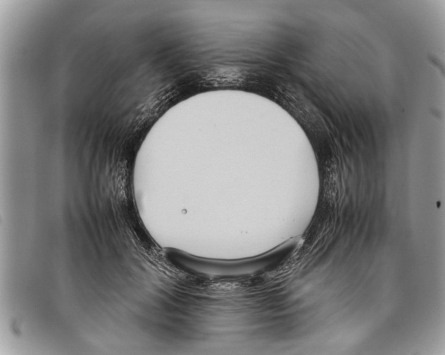 X0000097800604200804110926