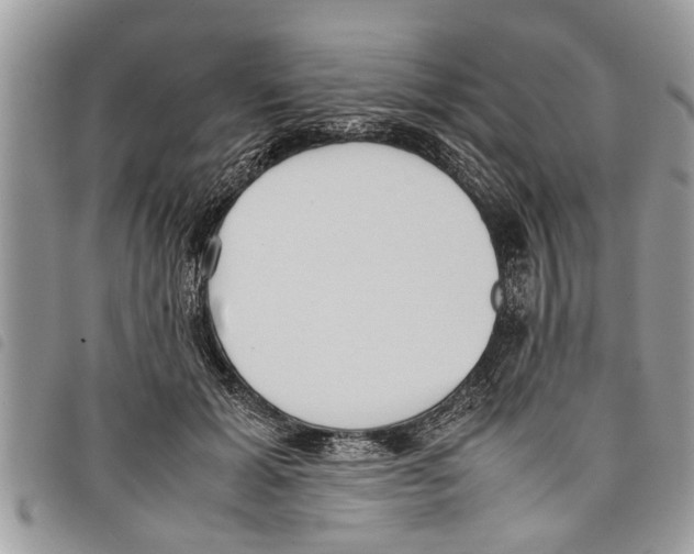 X0000097800605200804110926