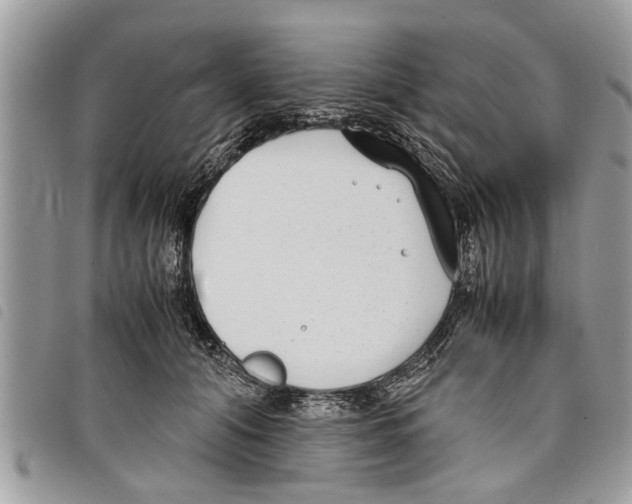 X0000097800608200804110926