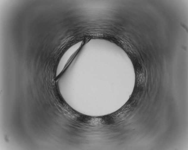 X0000097800609200804110926