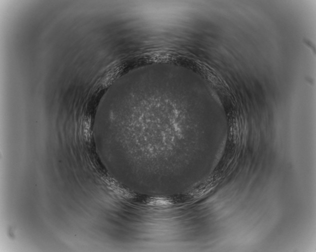 X0000097800610200804110926