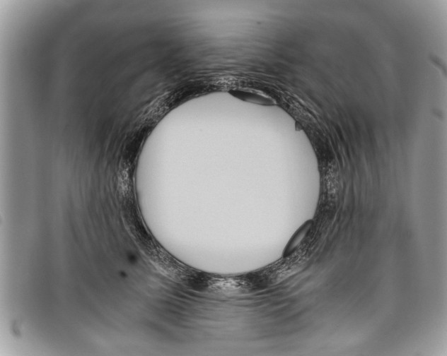 X0000097800611200804110926