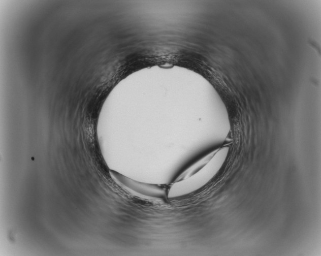 X0000097800613200804110926