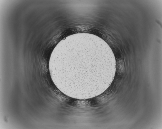 X0000097800615200804110926