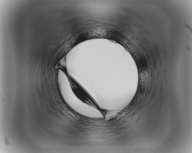 X0000097800617200804110926