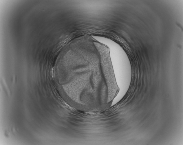 X0000097800621200804110926