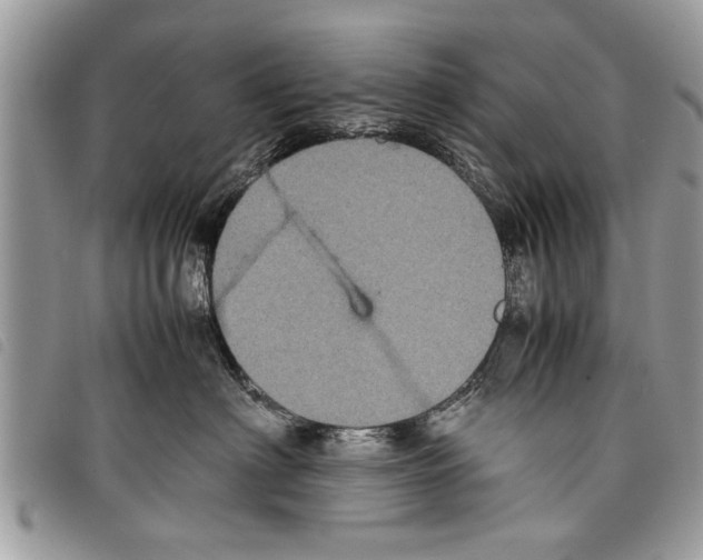 X0000097800622200804110926