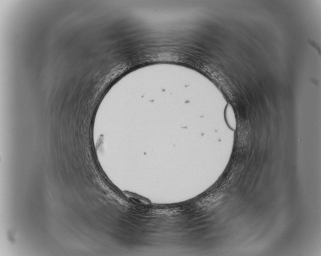 X0000097800625200804110925