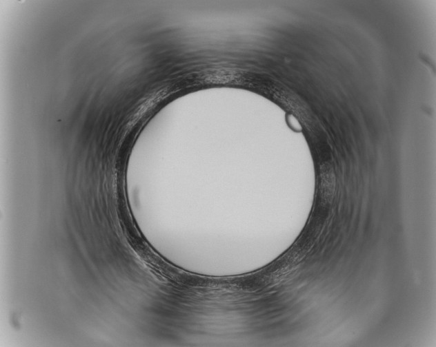 X0000097800626200804110925