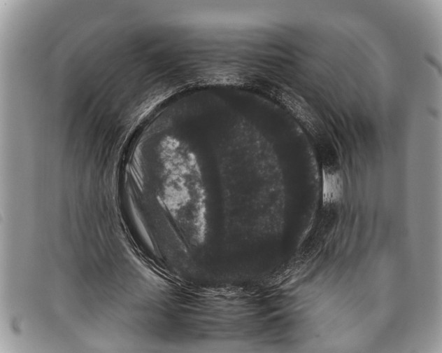 X0000097800627200804110925