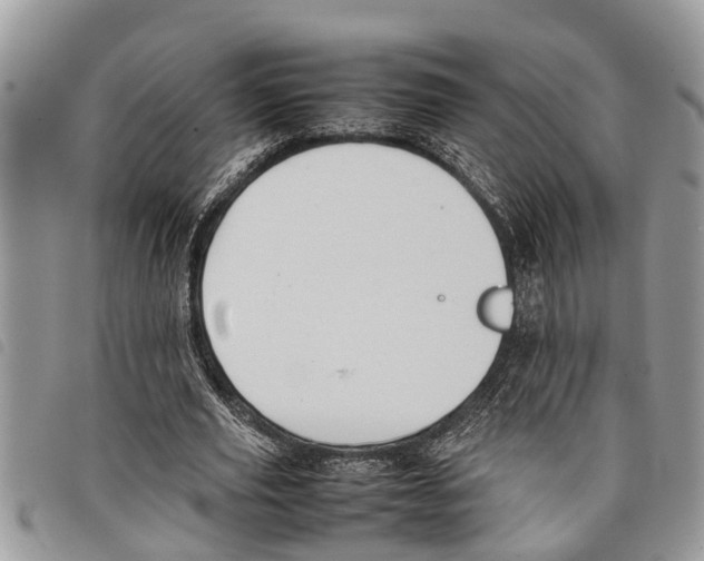 X0000097800629200804110925