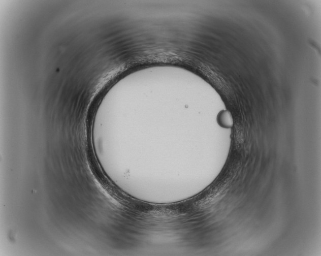 X0000097800630200804110925