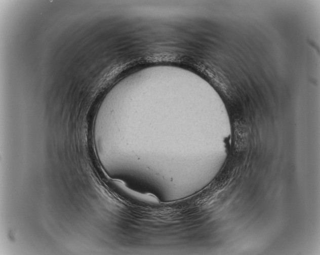 X0000097800631200804110925