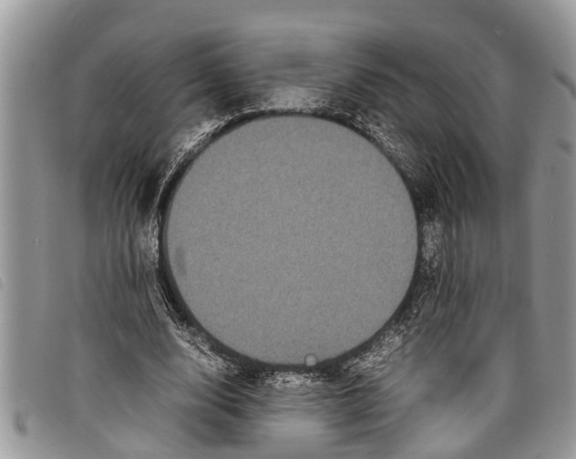 X0000097800632200804110925