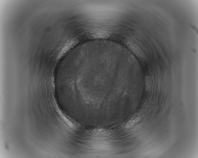 X0000097800634200804110925