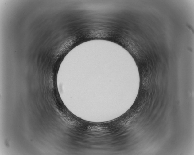 X0000097800635200804110925