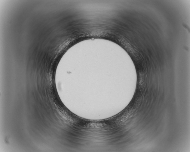 X0000097800636200804110925