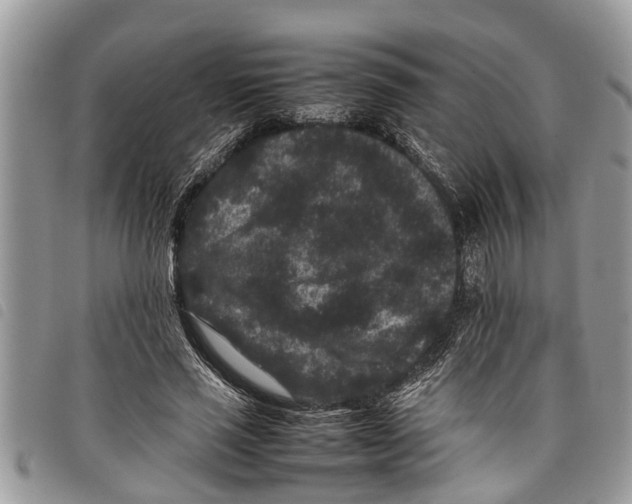 X0000097800637200804110925