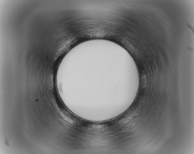 X0000097800638200804110925