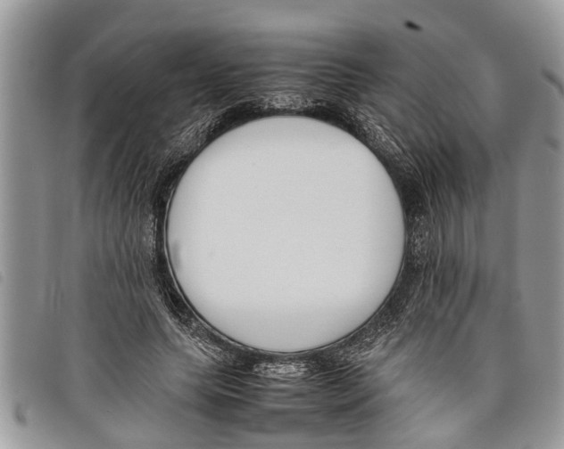 X0000097800639200804110925