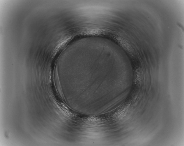 X0000097800640200804110925