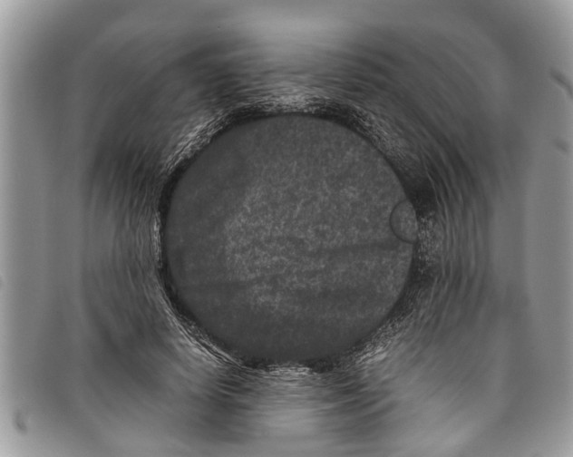 X0000097800642200804110925