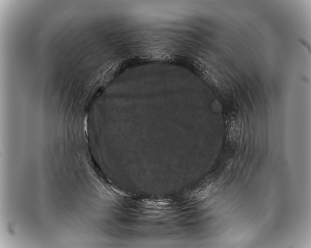 X0000097800643200804110925