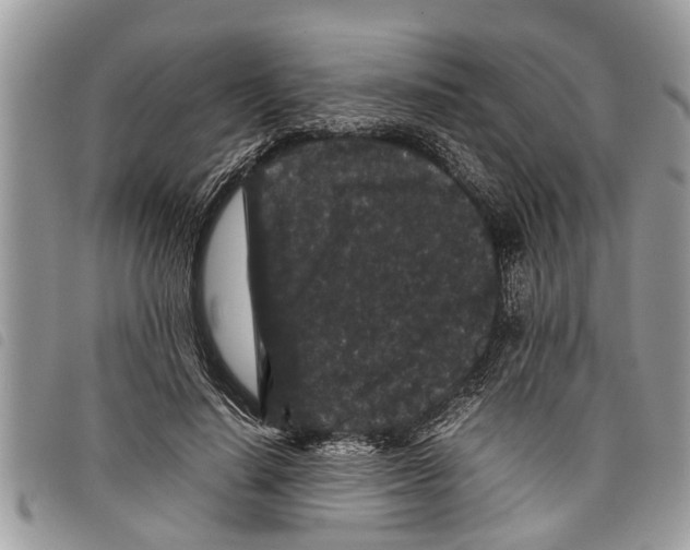 X0000097800644200804110925