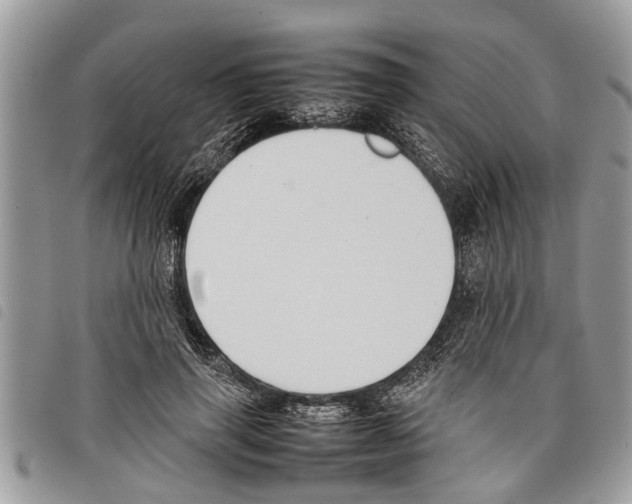 X0000097800645200804110925