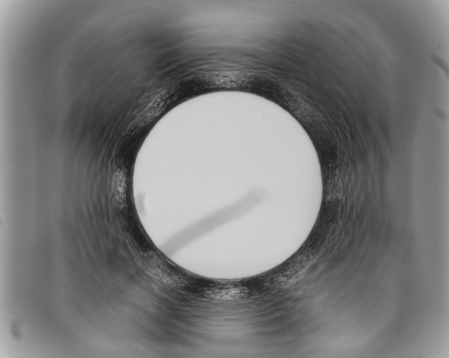 X0000097800646200804110925