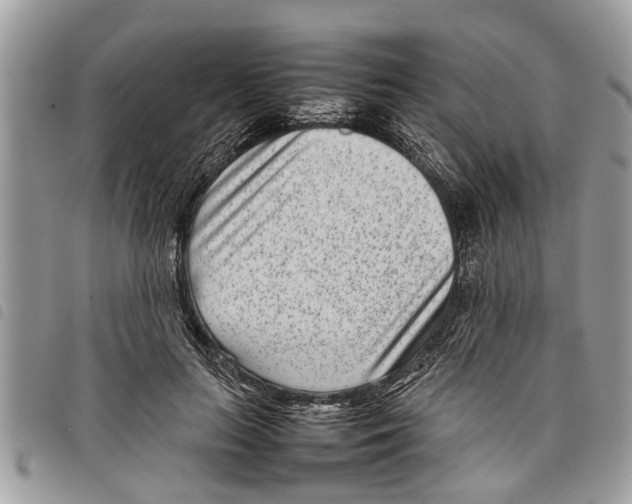 X0000097800647200804110925