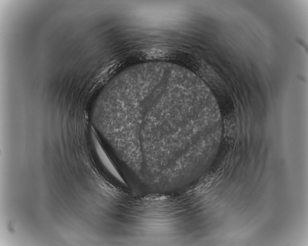 X0000097800648200804110925