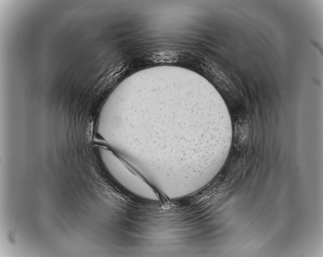 X0000097800652200804110926