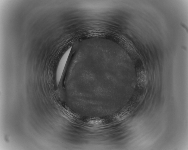 X0000097800653200804110926