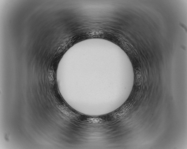 X0000097800654200804110926