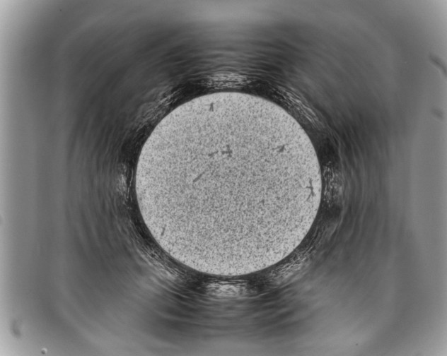 X0000097800655200804110926