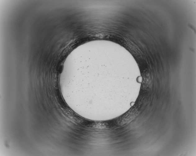 X0000097800656200804110926