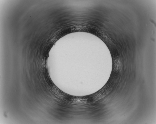 X0000097800657200804110926