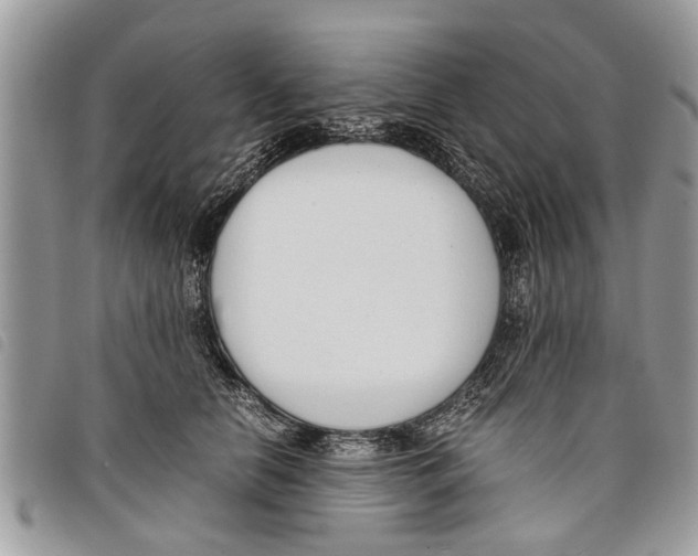 X0000097800658200804110926