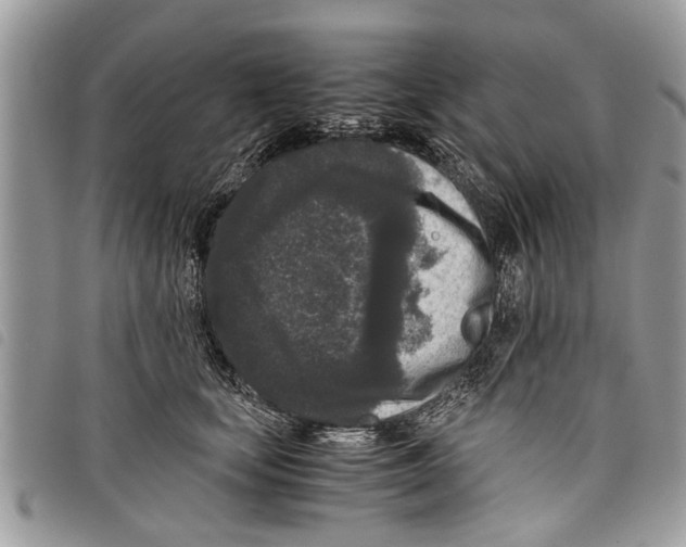 X0000097800659200804110926