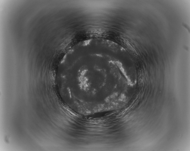 X0000097800661200804110926