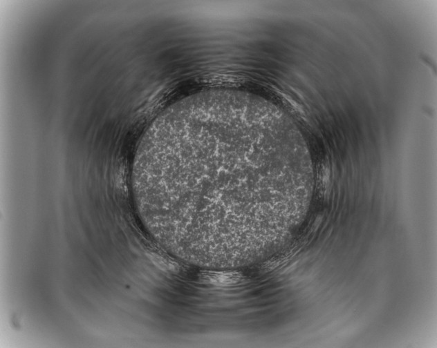 X0000097800663200804110926