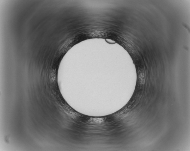 X0000097800665200804110926