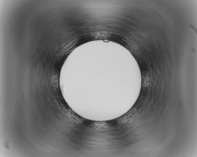 X0000097800666200804110926