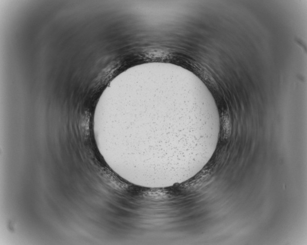 X0000097800668200804110926