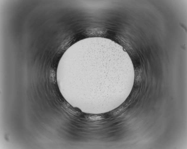 X0000097800669200804110926