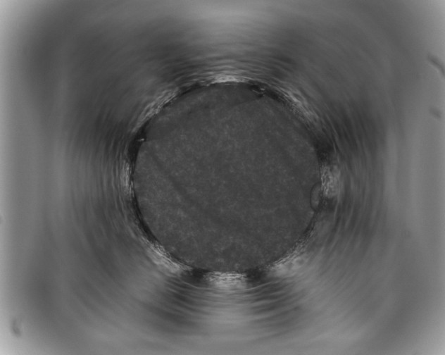 X0000097800670200804110926